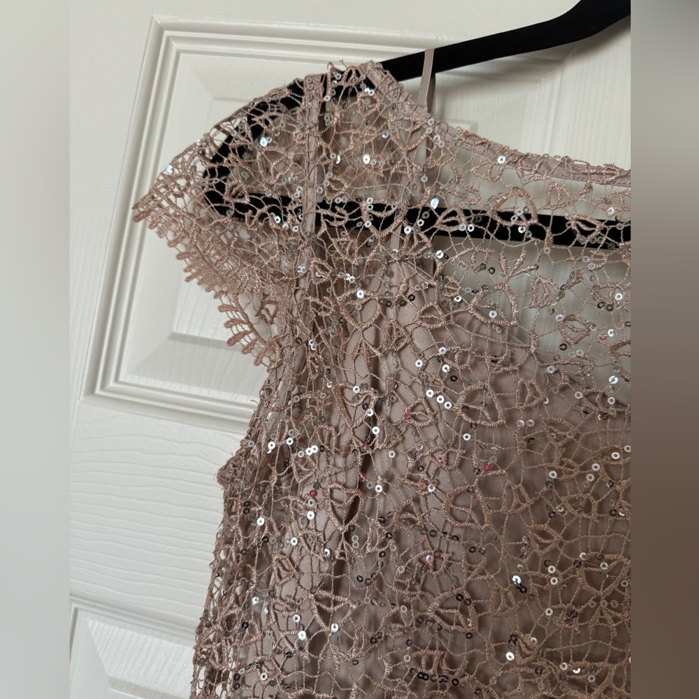 Kay Unger lace sequin pink bisque gown dress brand new with tags! Size 4 - Picture 9 of 10
